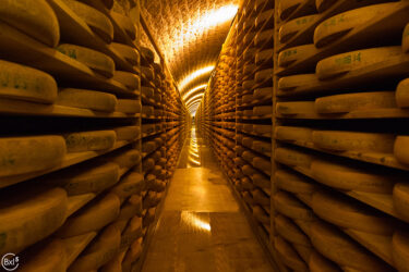 Etape 4 - Cave d'affinage du Fort des Rousses