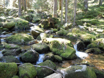 Etape 6 - Les environs de Gerardmer